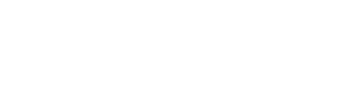 Vezovišek & Partnerji logo